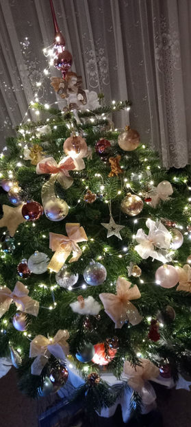 © - 2023 - 04 - 2024 - 00 - Iarna