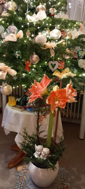 © - 2023 - 04 - 2024 - 00 - Iarna