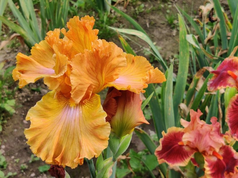 Erotic touch - Ea - Lu