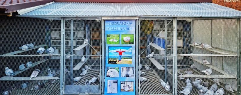 Schimbari externe ! - Voliera 2022