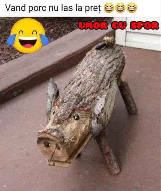  - Animale desenate