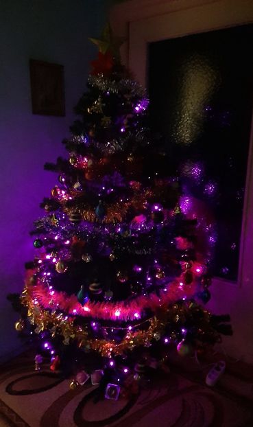  - MerryChristmas Songpoze frumoase 2023!