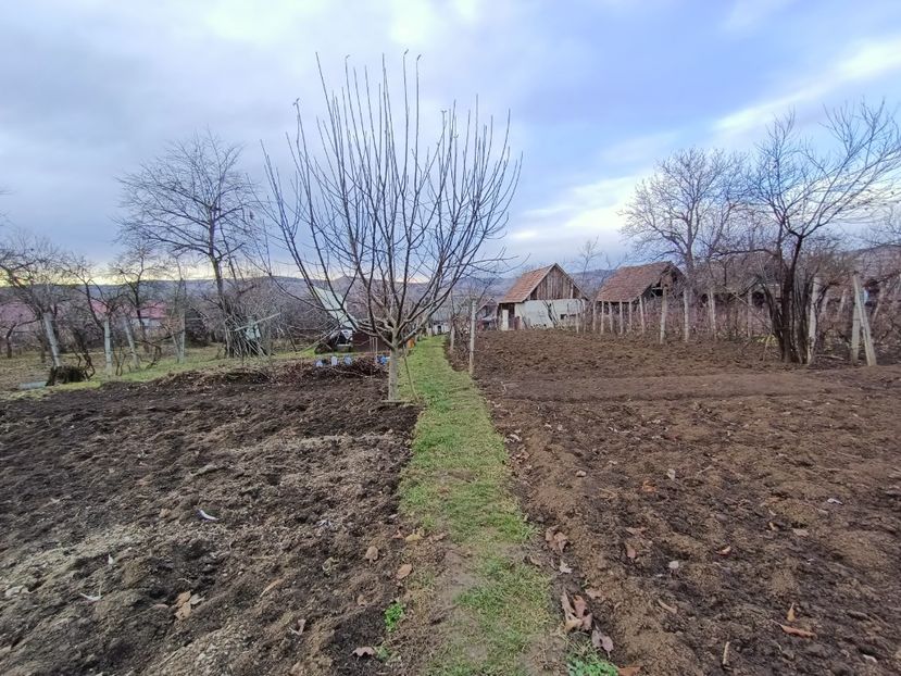 Img.2023.12.26 - Grădina mea de la țară