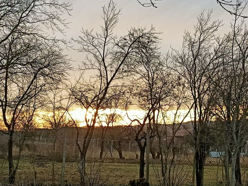 Img.2023.12.26 - Grădina mea de la țară