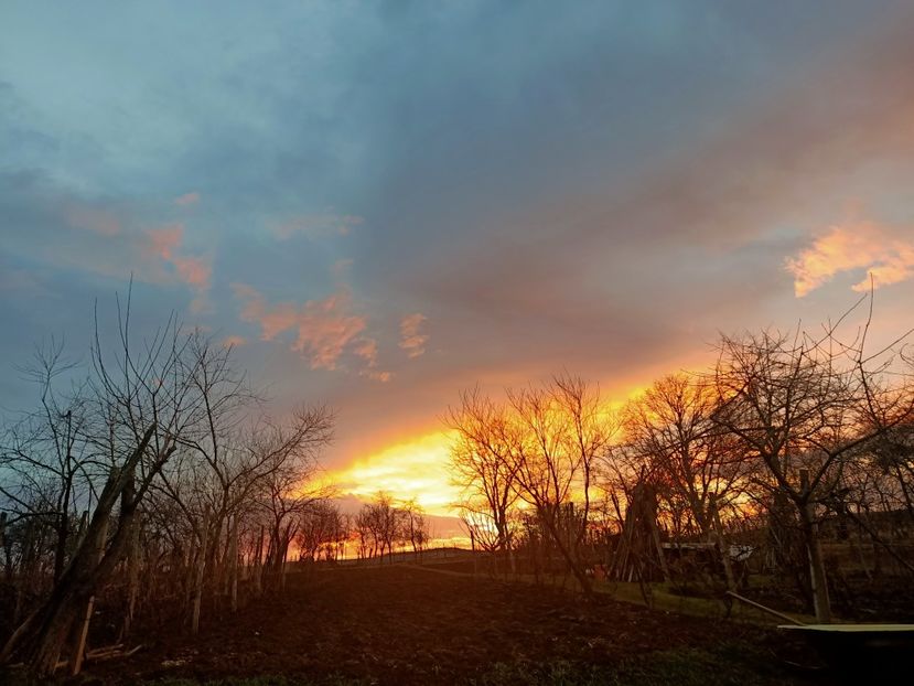 Img.2024.01.04 - Grădina mea de la țară