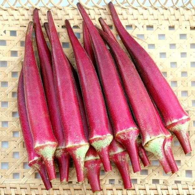 bame rosii - SEMINTE DE LEGUME -2025