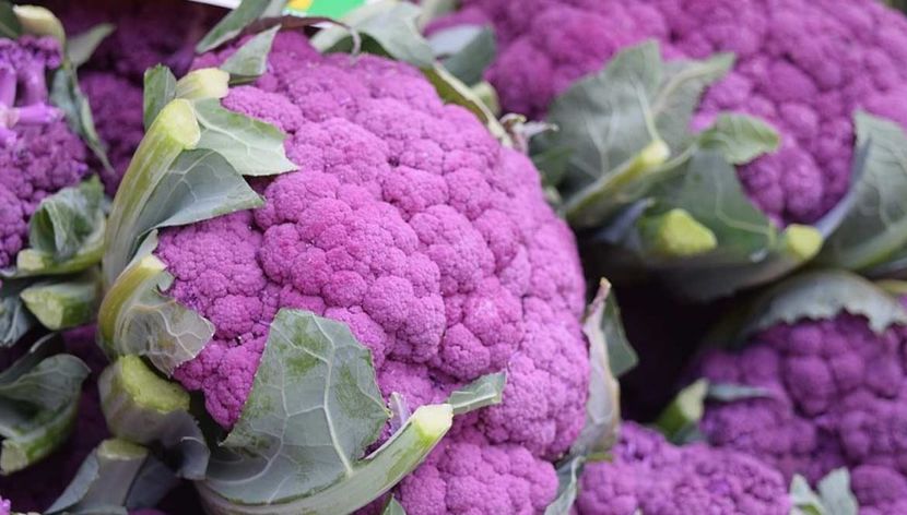Brassica Oleracea Botrytis Violetto di Sicilia - SEMINTE DE LEGUME -2025
