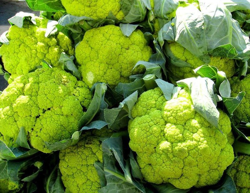 Brassica Oleracea Botrytis Verde di Macerata - SEMINTE DE LEGUME -2025