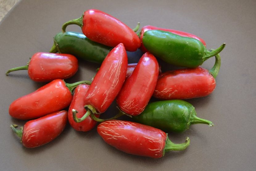 Capsicum Annum Jalapeno. - SEMINTE DE LEGUME -2025