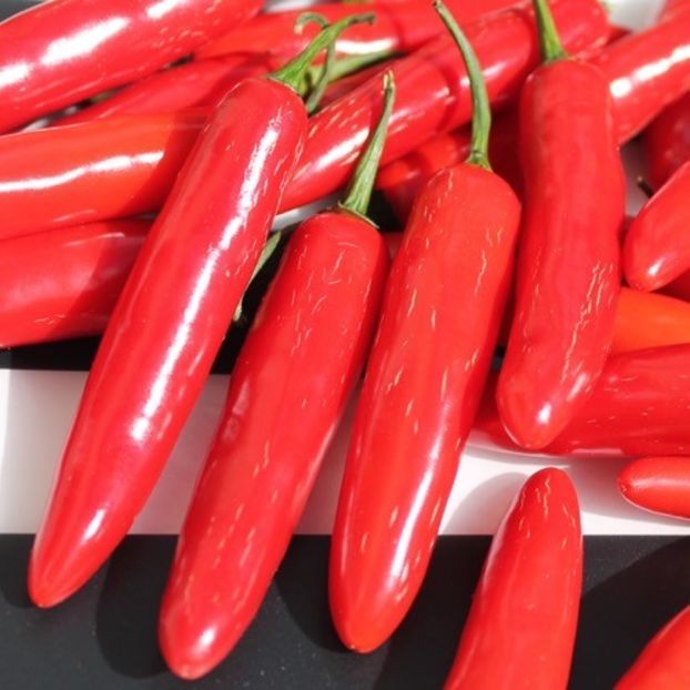 chili_serrano - SEMINTE DE LEGUME -2025