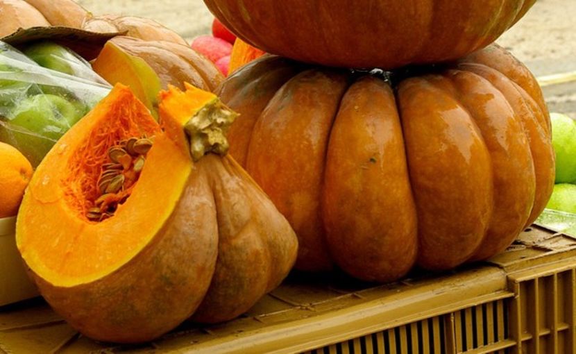 Cucurbita Muscade de Provence - SEMINTE DE LEGUME -2025