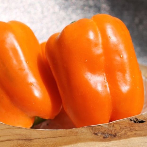 Capsicum Annum Rewia - SEMINTE DE LEGUME -2025