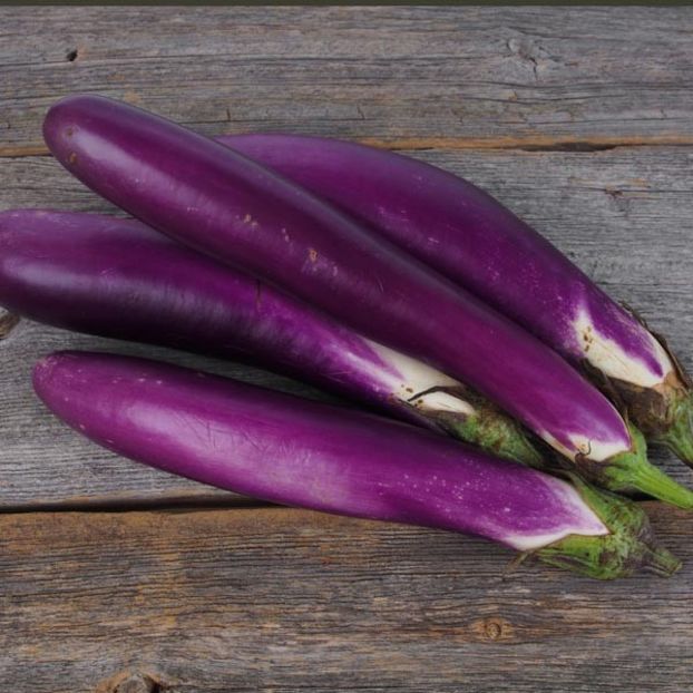 Solanum Melongena Long Purple - SEMINTE DE LEGUME -2025