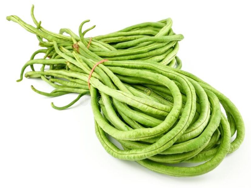 fasole metru - SEMINTE DE LEGUME -2025