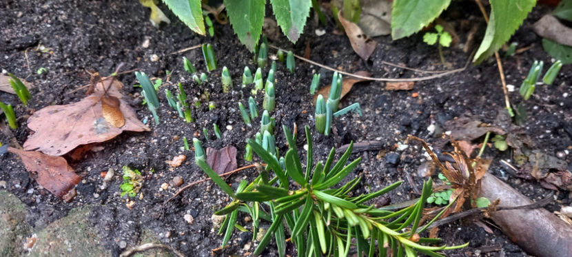  - 2023 - 04 - 2024 - 00 - Iarna