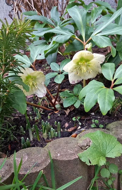  - 2023 - 04 - 2024 - 00 - Iarna