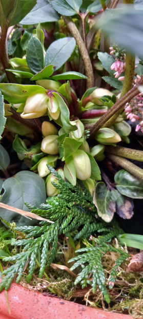  - 2023 - 04 - 2024 - 00 - Iarna