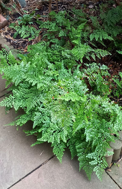  - 2023 - 04 - 2024 - 00 - Iarna