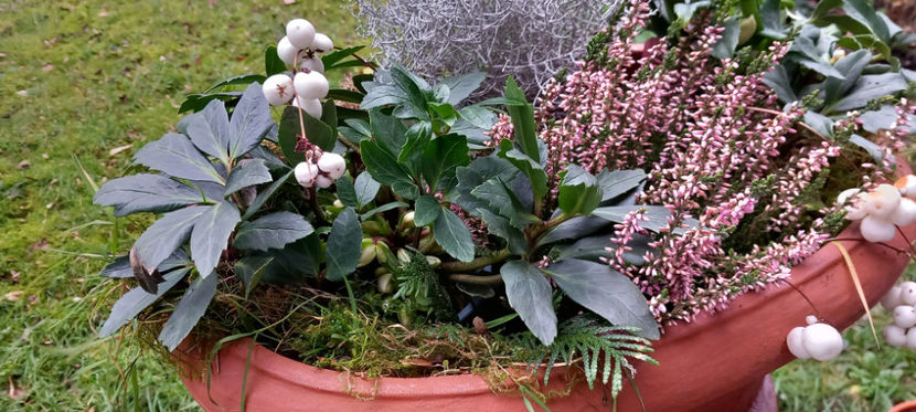 Culori in Ianuarie. - 2023 - 04 - 2024 - 00 - Iarna