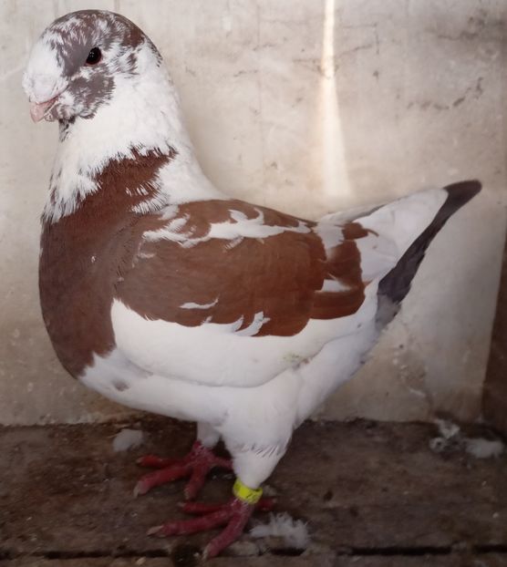 M 2023 - AGH PENTRU 2025