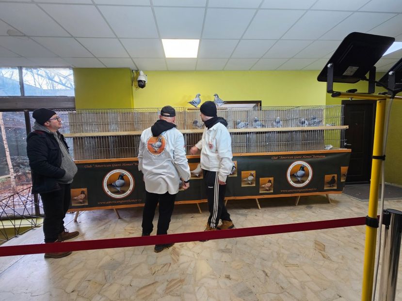  - EXPOZIȚIE CLUB CAGHR 2024