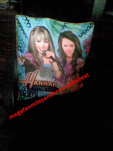 Imag004 - Lucrurile mele cu Hannah Montana si Miley Cyrus