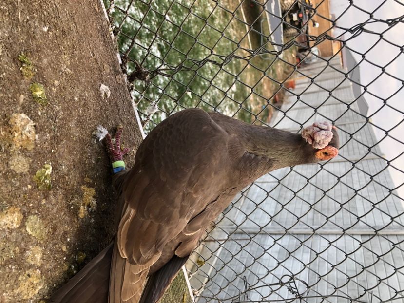 AB07CC83-D360-4A7C-A19D-5924F1AAC441 - Berberi2024