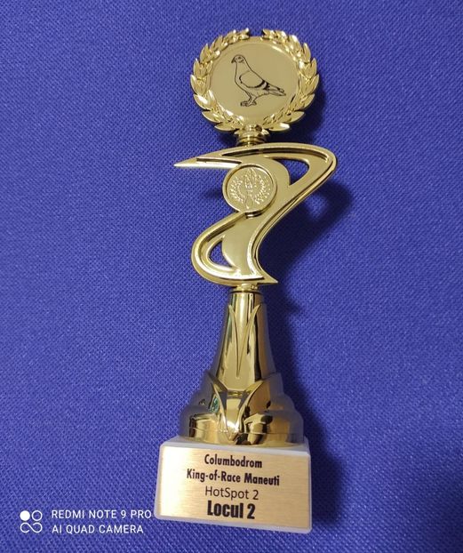 CUPA2 - Porumbei columbodroame