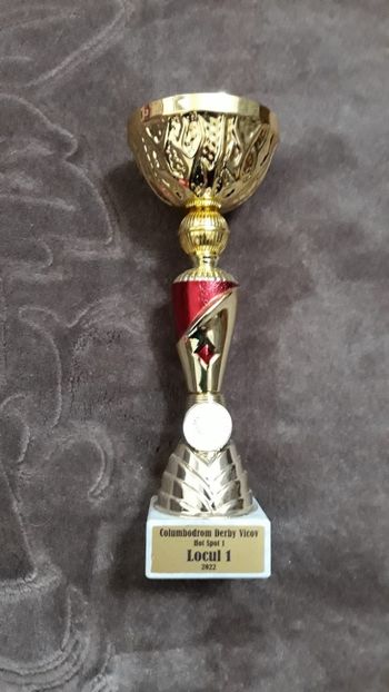 CUPA1 - Porumbei columbodroame