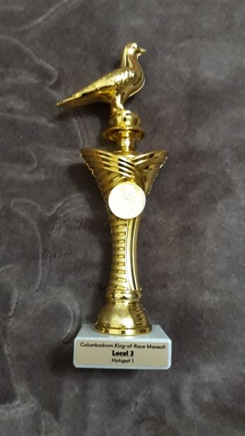 CUPA5 - Porumbei columbodroame