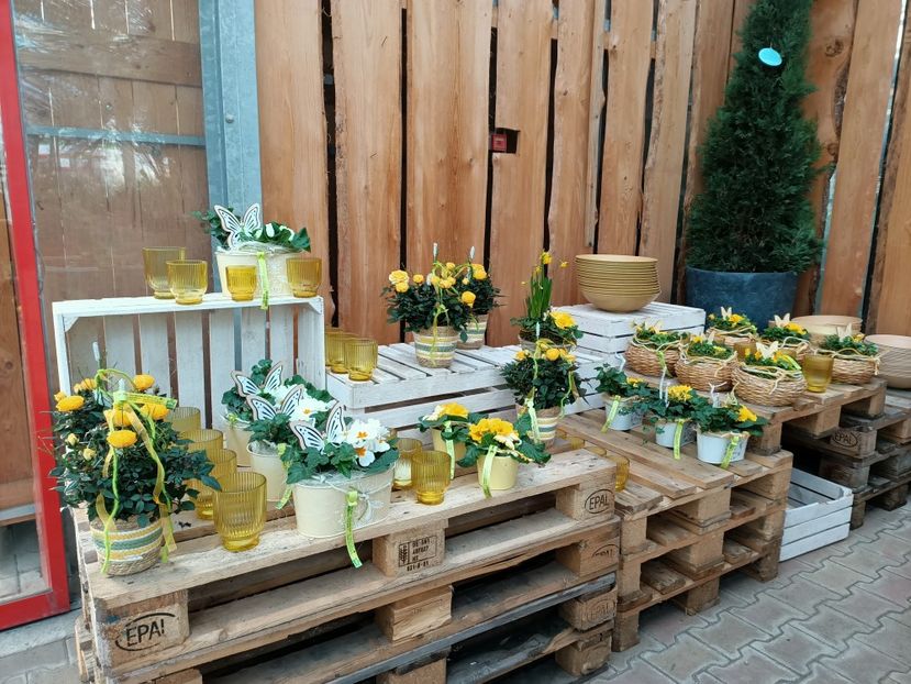 Img.2024.01.12 - Magazinul 3