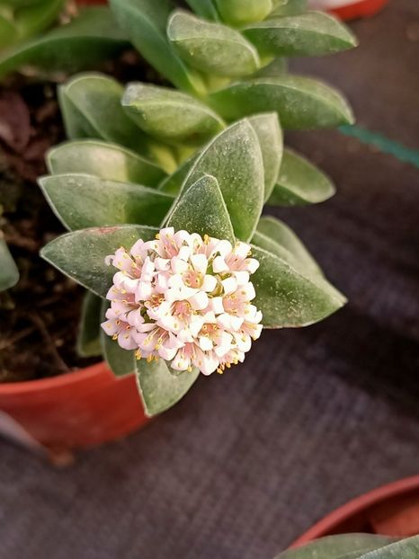 Img.2024.01.12 - Magazinul 3