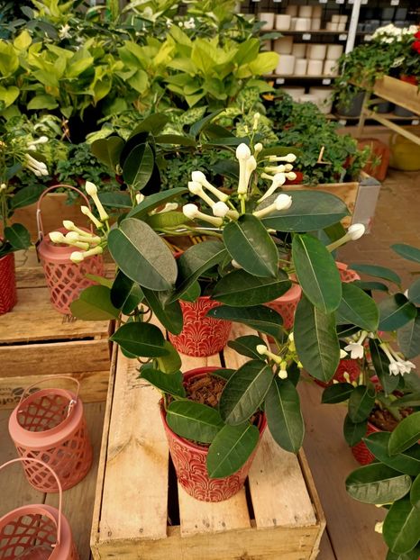 Img.2024.01.12 - Magazinul 3