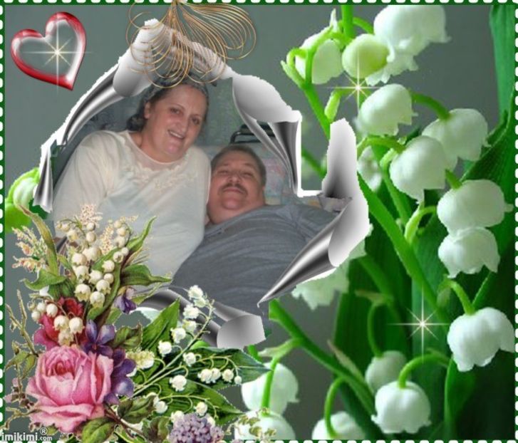 137EV_16 - FAMILIA MEA SEBES -ALBA