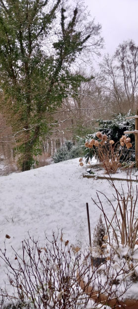  - 2023 - 04 - 2024 - 00 - Iarna