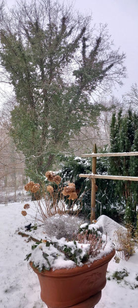  - 2023 - 04 - 2024 - 00 - Iarna