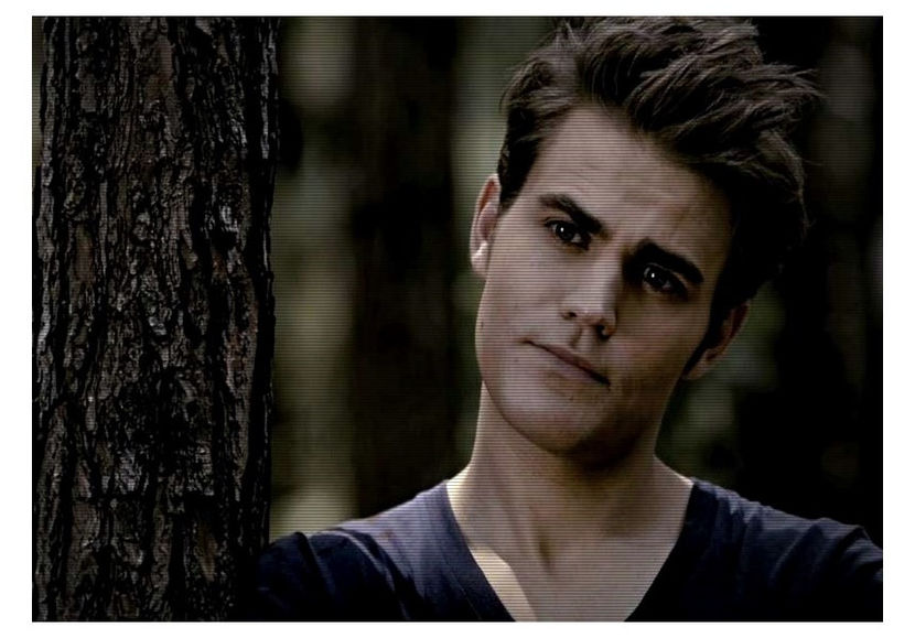  - Stefan Salvatore - VAMPIRE