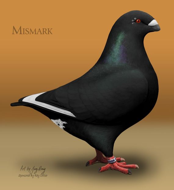 AGH Black mismark - STANDARDUL AGH