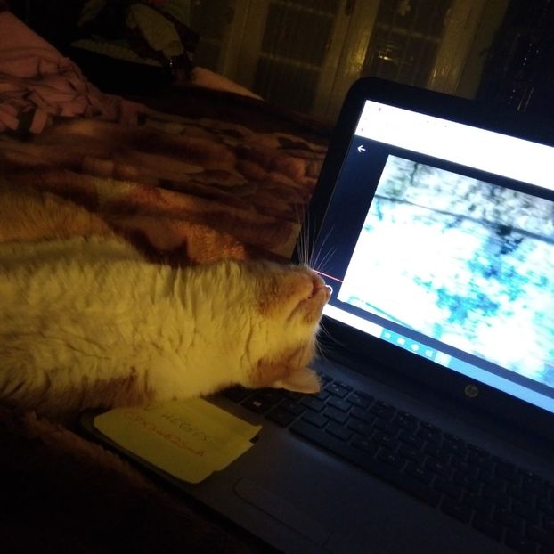 .trashed-1706488924-20231227_185901 - 2024 ianuarie