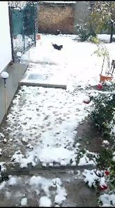  - 2024 ianuarie