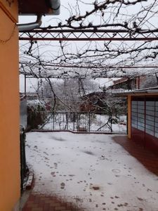  - 2024 ianuarie