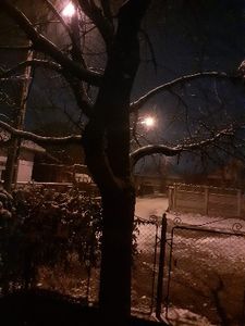  - 2024 ianuarie