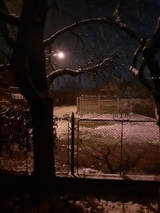  - 2024 ianuarie