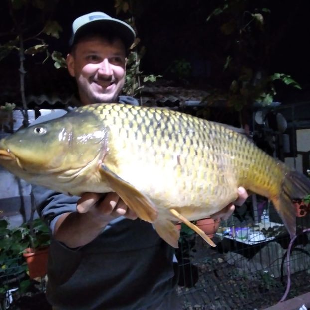 IMG-20230928-WA0002 - 2024 ianuarie