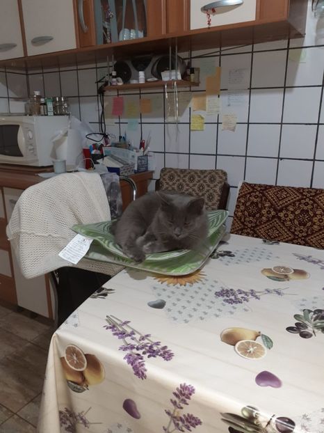 IMG-20230929-WA0009 - 2024 ianuarie