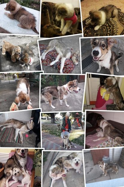 IMG-20231017-WA0004 - 2024 ianuarie