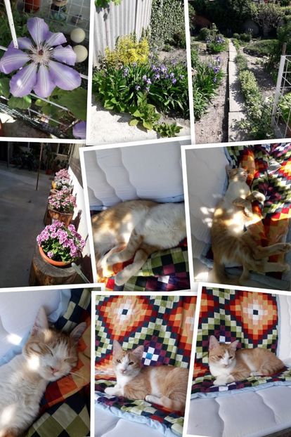 IMG-20231027-WA0002 - 2024 ianuarie