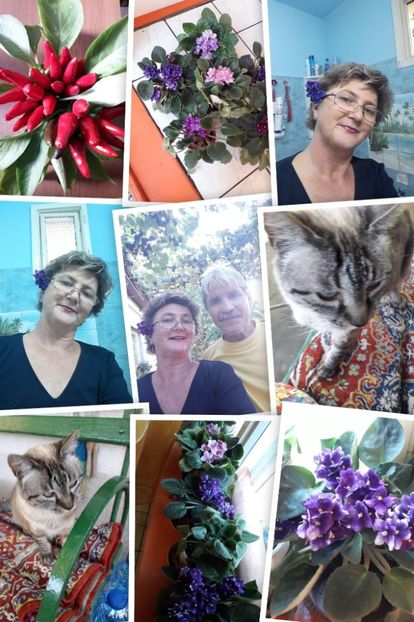 IMG-20231105-WA0005 - 2024 ianuarie