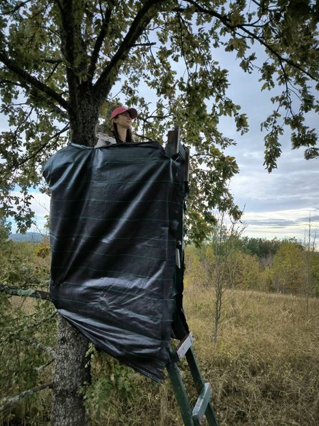 IMG-20231105-WA0012 - 2024 ianuarie