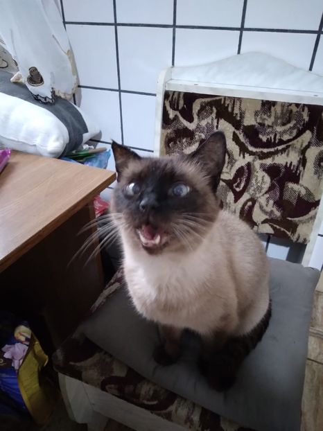 IMG-20231111-WA0009 - 2024 ianuarie